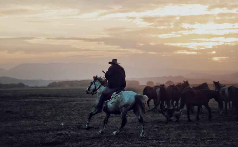 BITS – Mount Up Fantasy&nbsp;Settings