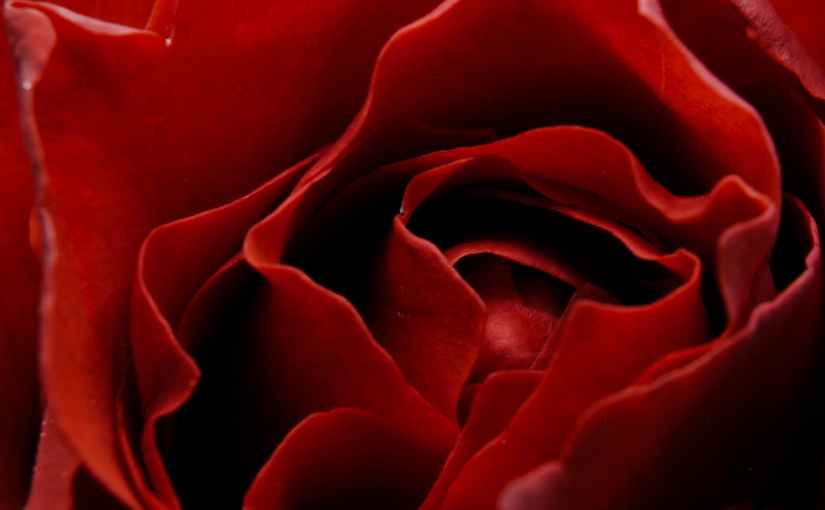 The Best of This Modern Relationship Guide: Keep&nbsp;Alive